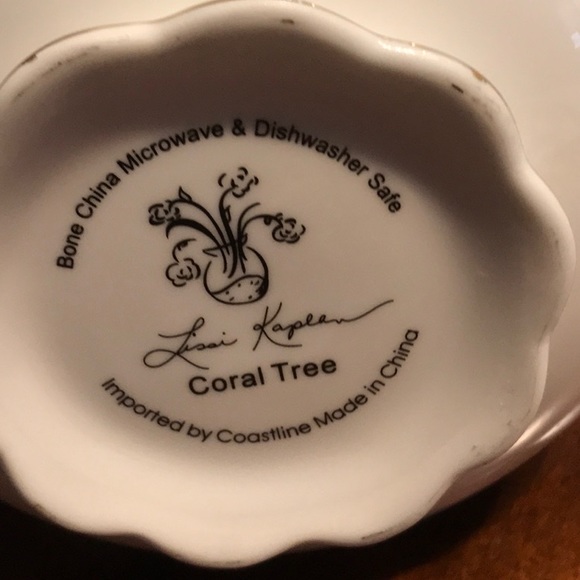 Gorgeous Lissi Kaplan teapot Coral Tree Bone China - Picture 2 of 6